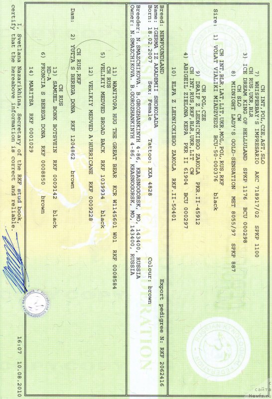 Фото: Natal'ya Smazchikova (Наталья Смазчикова)