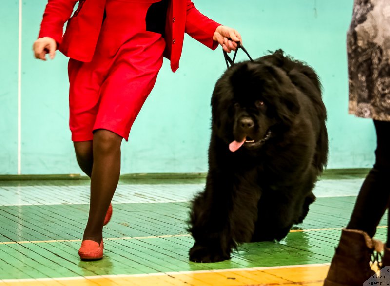 Фотография № 175158