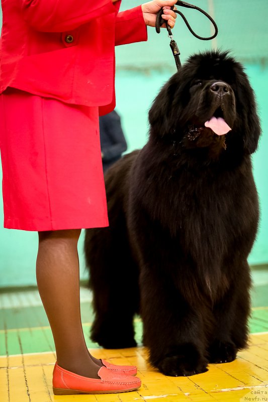 Фотография № 175159