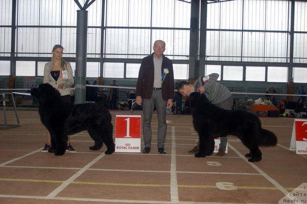 Фотография № 175160