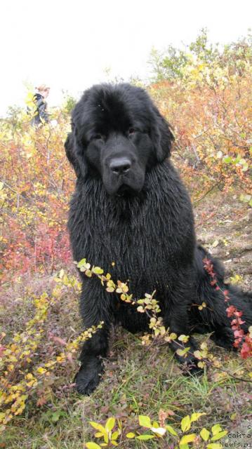 Фотография № 17518