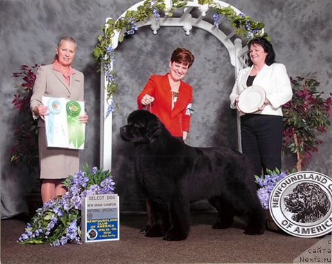 Фотография № 175194