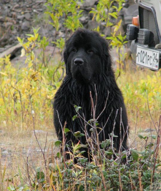 Фотография № 17520