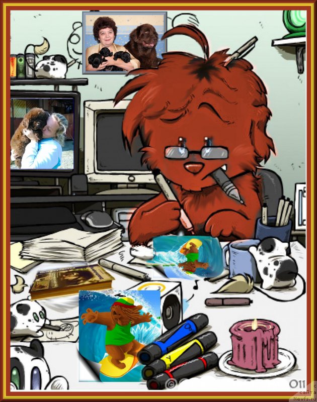 Фото: ньюфаундленд Brownblood MSK Hakim Gold Haydar (Браунблад МСК Хаким Голд Хайдар), ньюфаундленд Velikiy Medved' Kameliya (Великий Медведь Камелия), Elena SHmeleva (Елена Шмелева), Lena Zyirina (Лена Зырина)