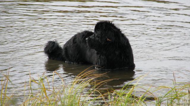 Фотография № 17521