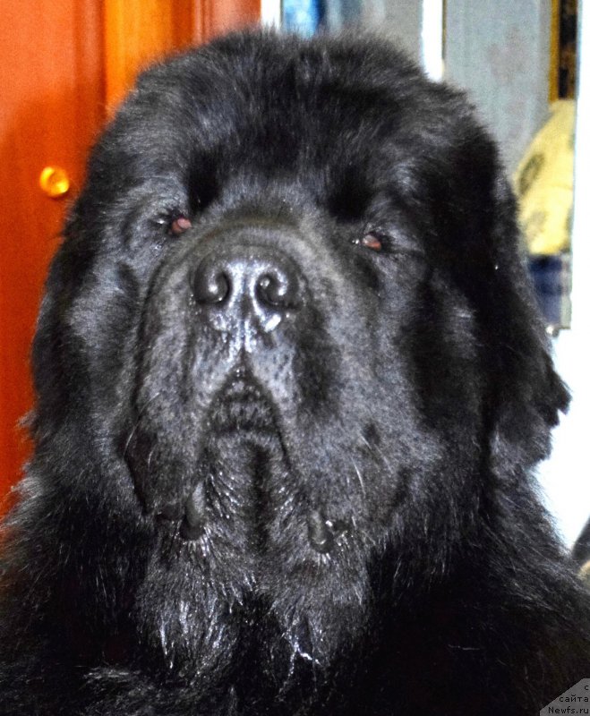 Фото: Roman Bilinskiy (Роман Билинский)