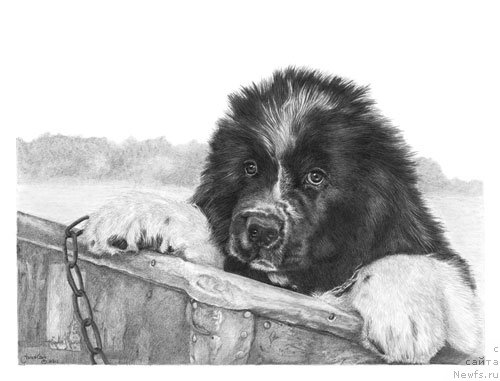 Фотография № 175241