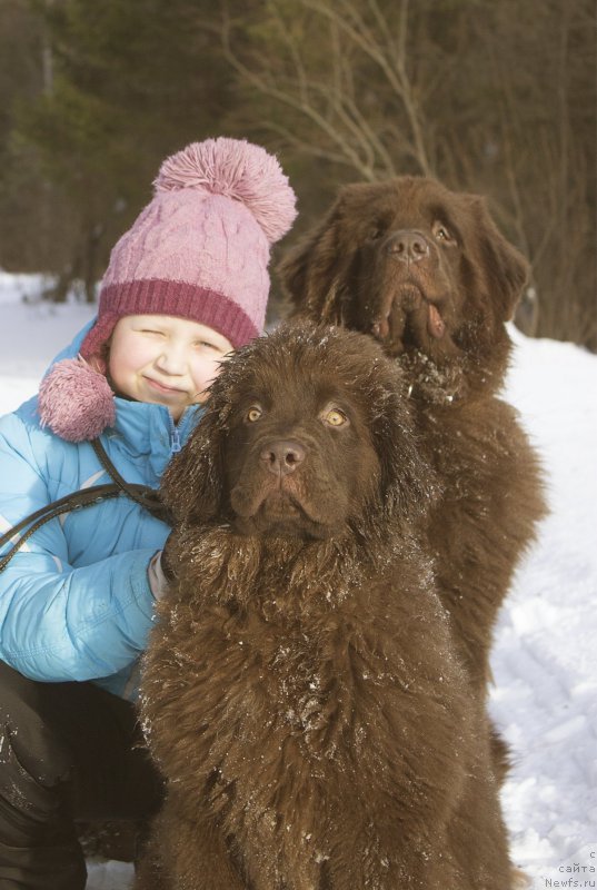 Фотография № 175266