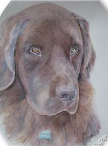 Фотография № 175272