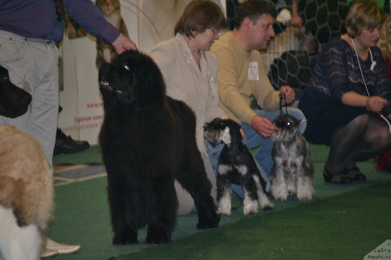 Фотография № 175315