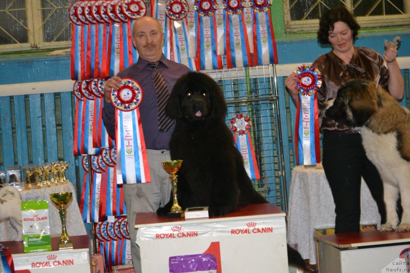 Фотография № 175316