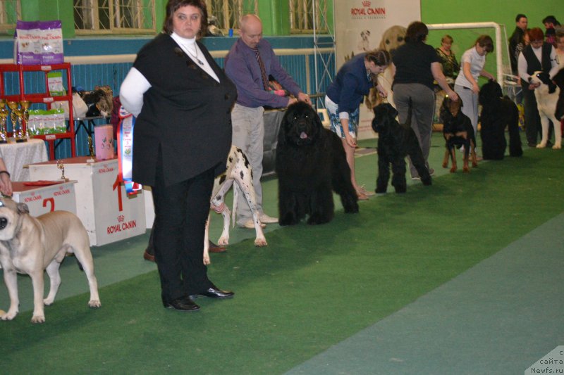 Фотография № 175319