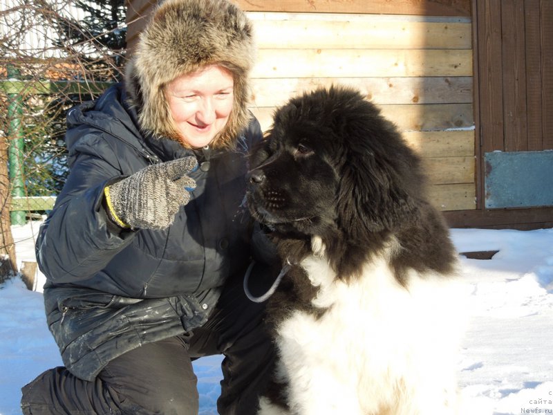 Фотография № 175325