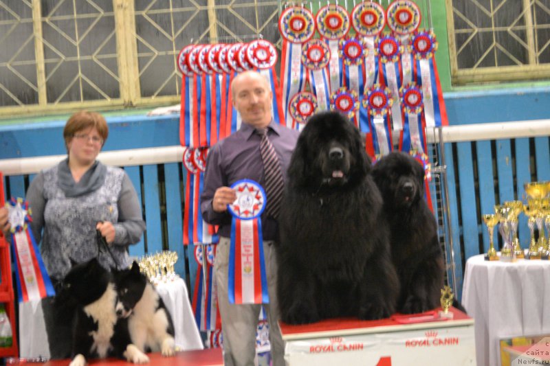 Фотография № 175326