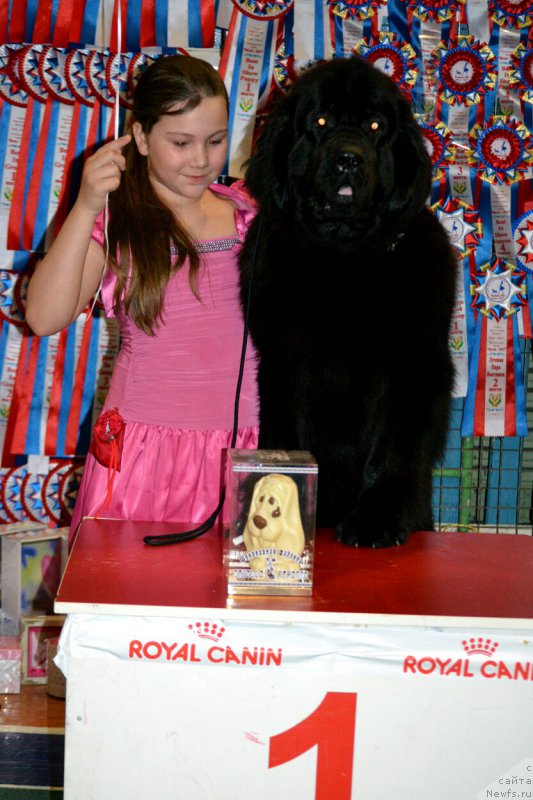 Фотография № 175329