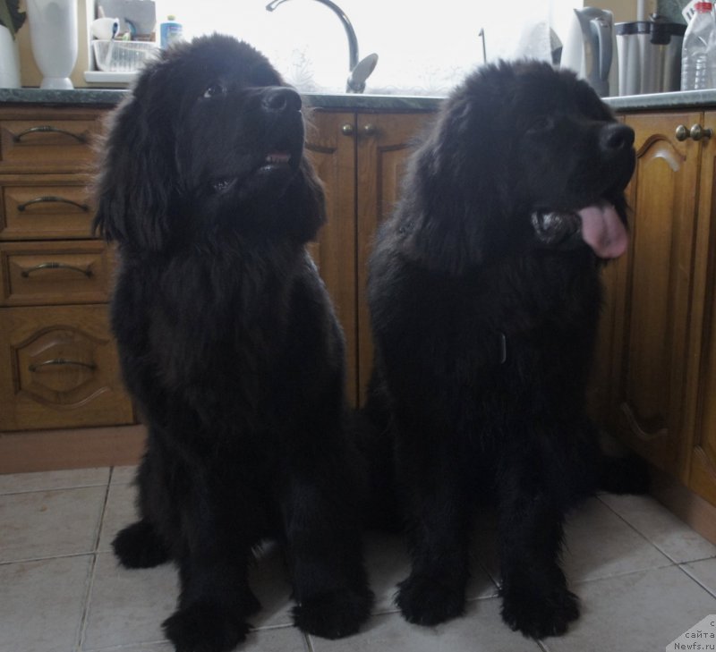 Фотография № 175331