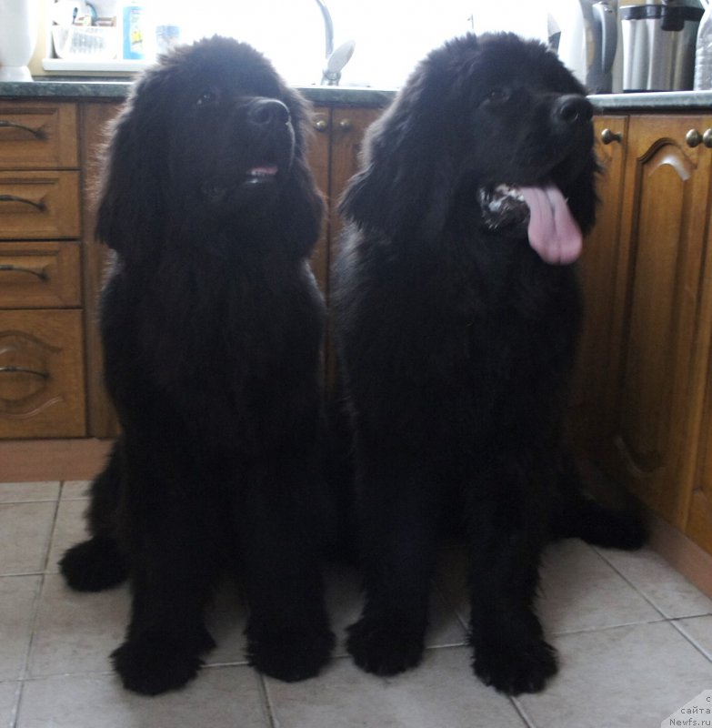 Фотография № 175332