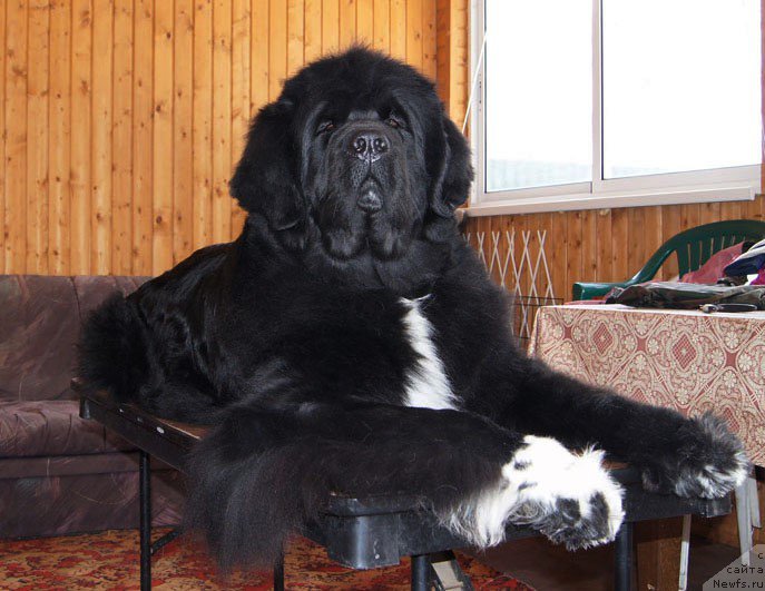 Фотография № 175345