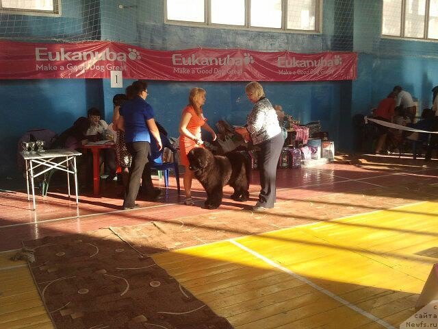 Фотография № 175386