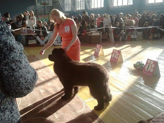 Фотография № 175387