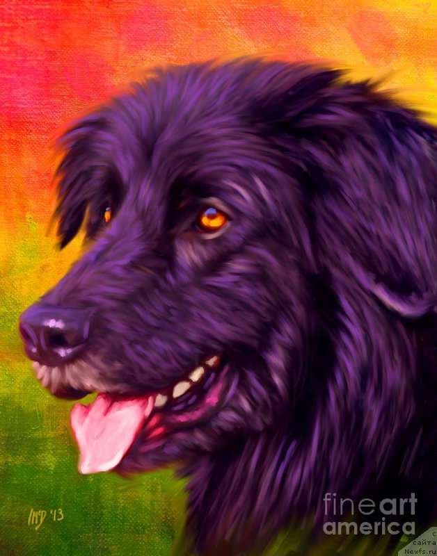 Фотография № 175399