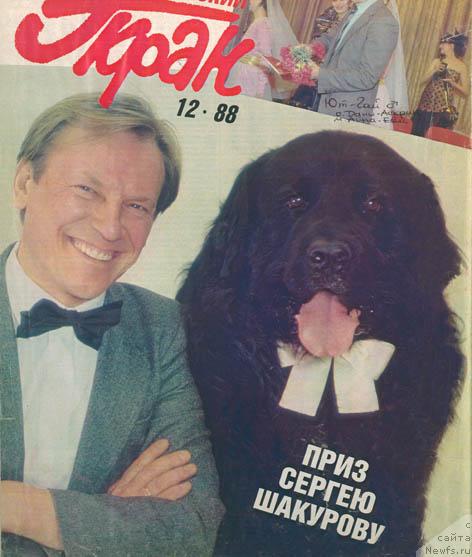 Фото: ньюфаундленд YUt Gay (Ют Гай)