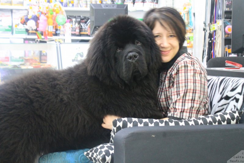 Фотография № 175408