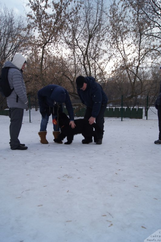 Фотография № 175423