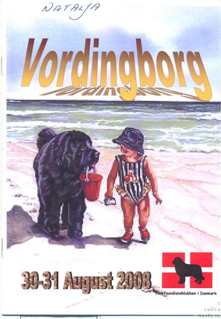 Фотография № 17543