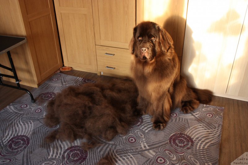 Фотография № 175430