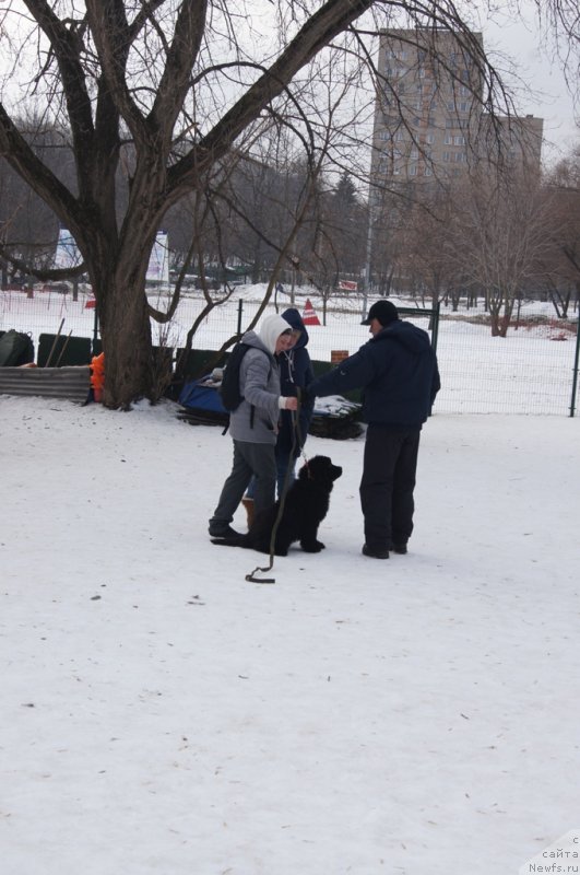 Фото: Акватория Келвин Бавария