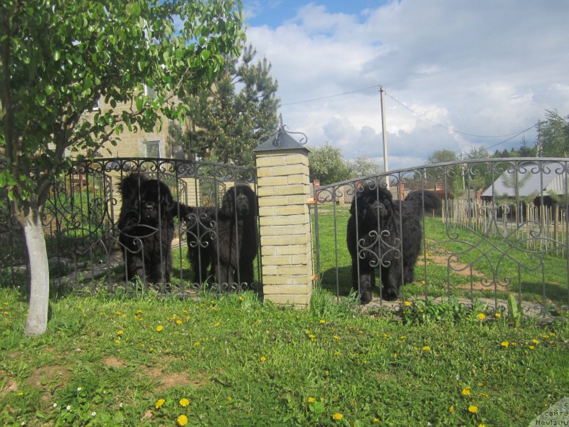 Фотография № 175435