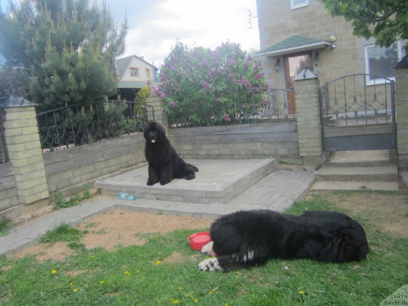 Фотография № 175440