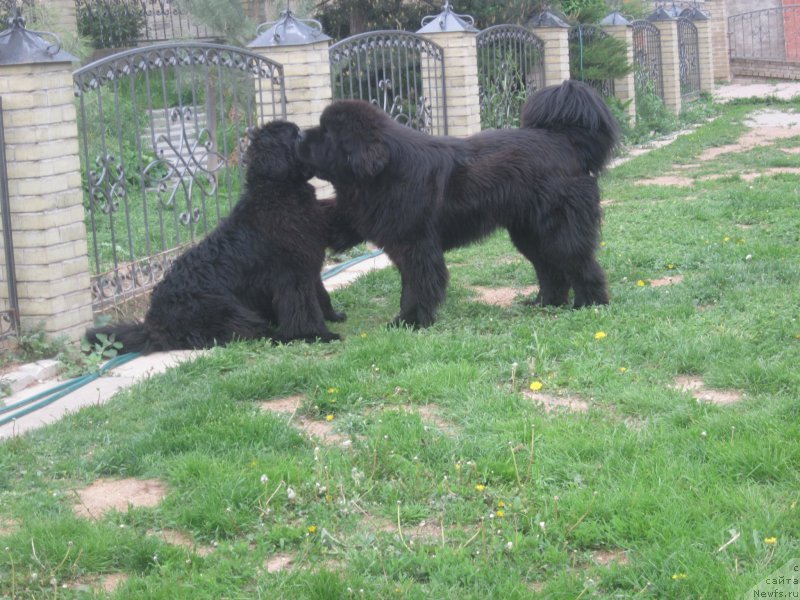 Фотография № 175448