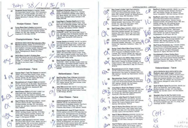 Фотография № 17545