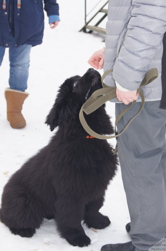 Фотография № 175450