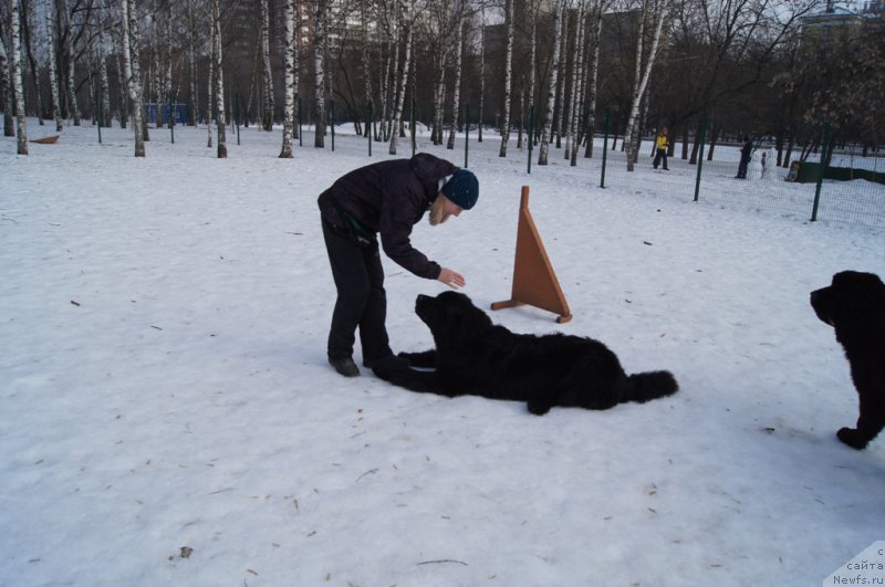 Фото: YUliya YAkusheva (Юлия Якушева), 