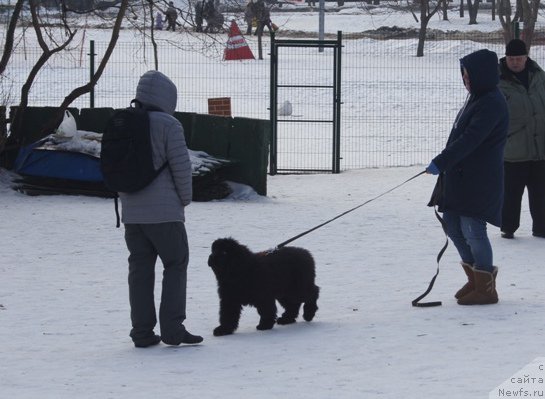 Фото: Акватория Келвин Бавария