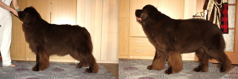 Фотография № 175464