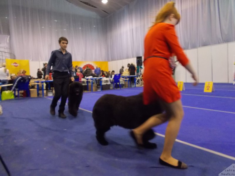 Фотография № 175465