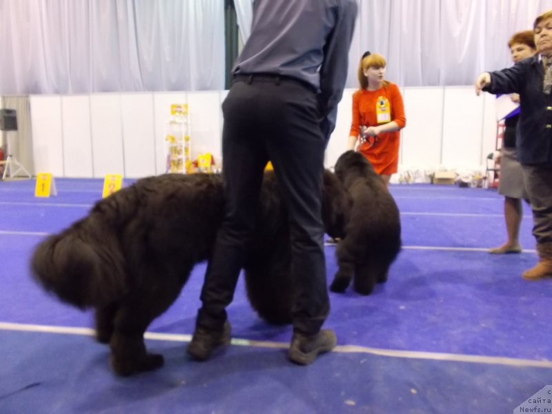 Фотография № 175471