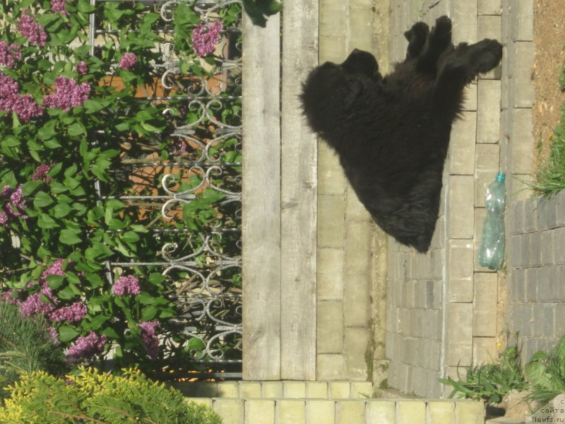 Фото: Natal'ya Smazchikova (Наталья Смазчикова)