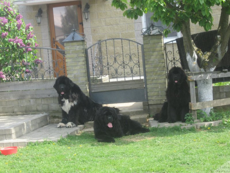 Фотография № 175478