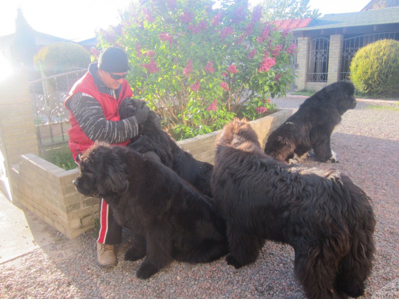 Фото: Natal'ya Smazchikova (Наталья Смазчикова)