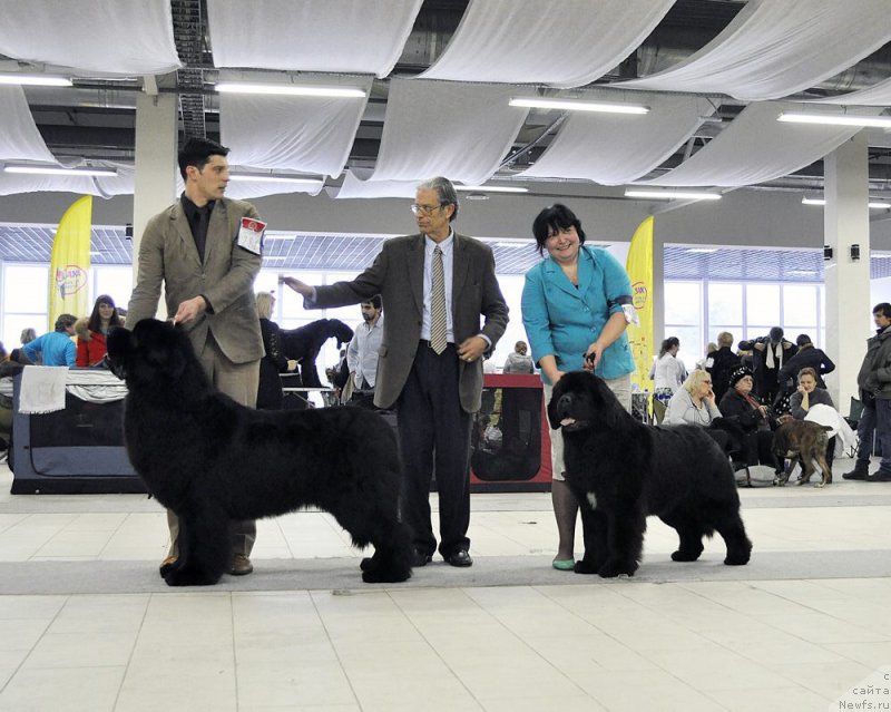 Фотография № 175480