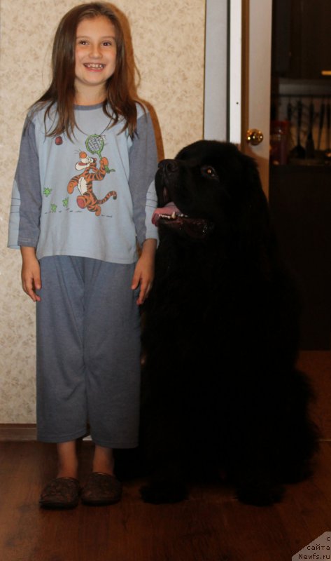 Фотография № 175488