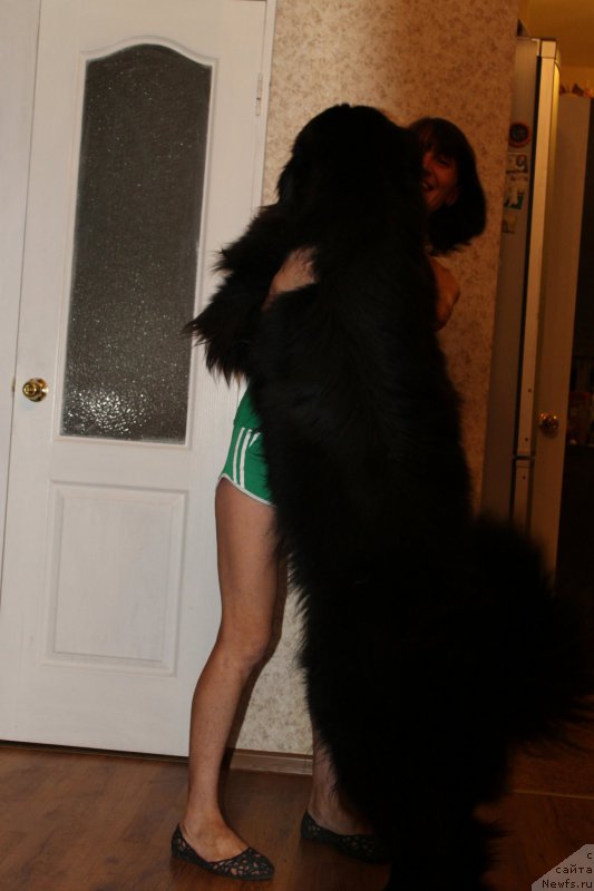 Фотография № 175490