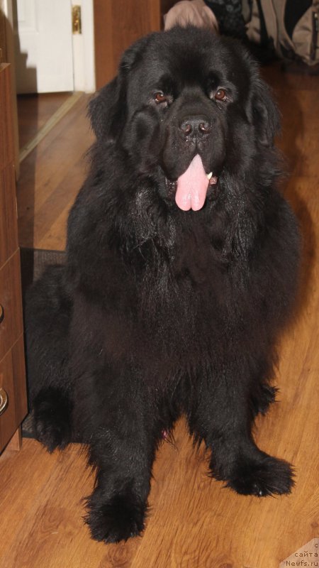 Фотография № 175491