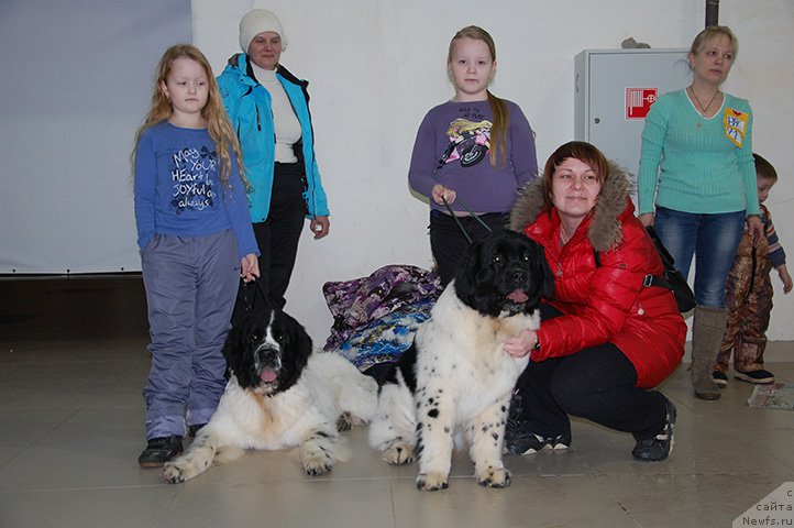 Фотография № 175517