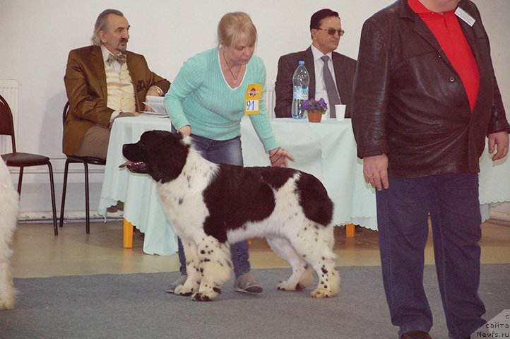 Фотография № 175520